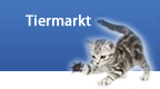 tiermarkt.jpg